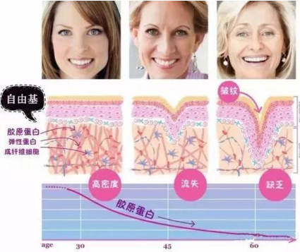 女生该如何抗衰老抗氧化啊?