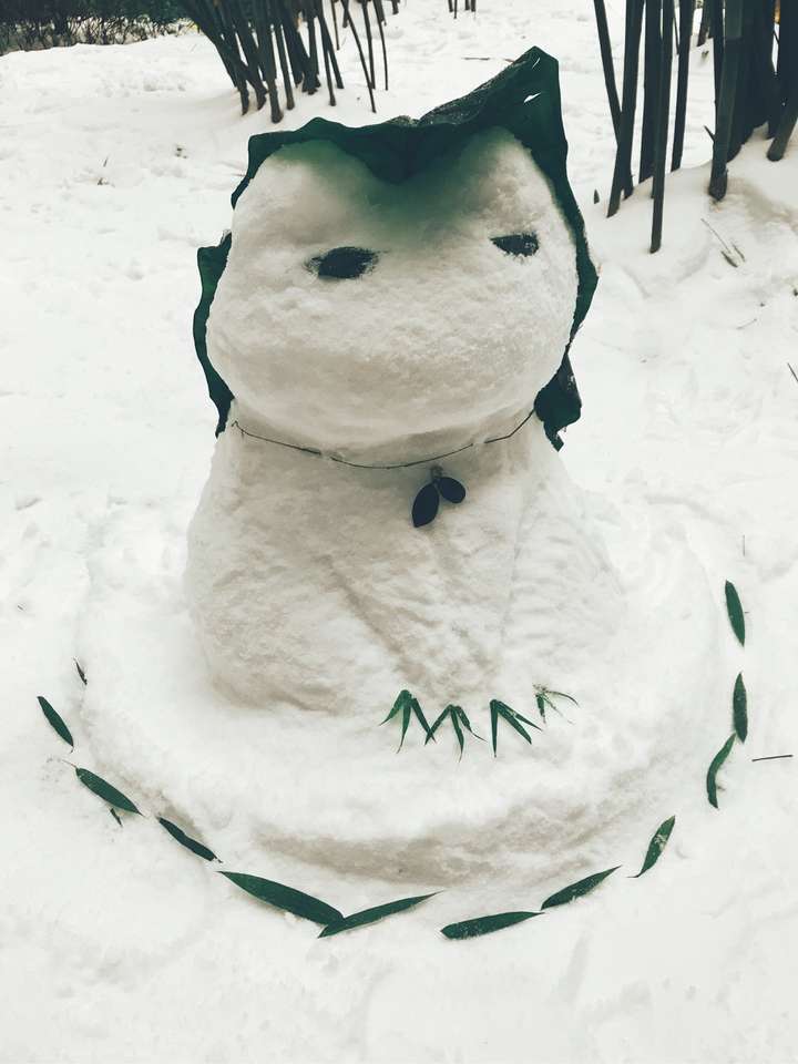 这个冬天你堆过那些牛逼的雪人?