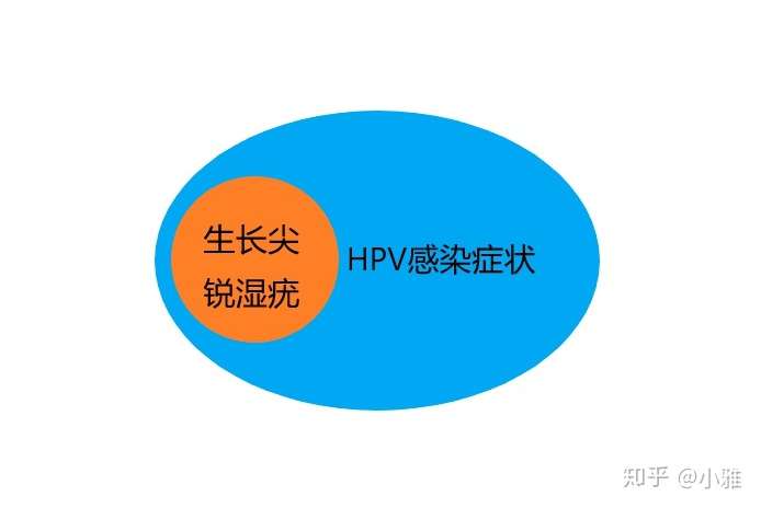 男性如何检测hpv?