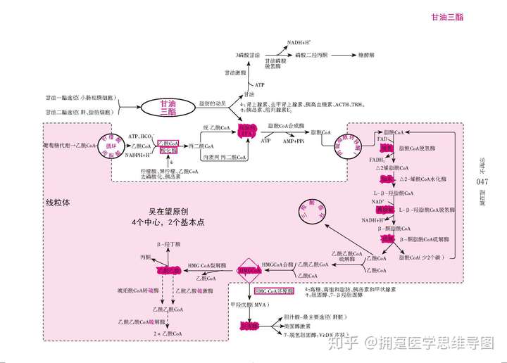 两周上完100页的生化该怎么学才能学好?