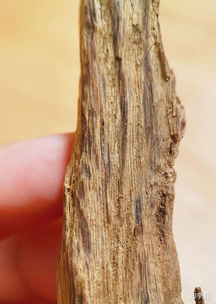 怎么分辨沉香木有没有香?