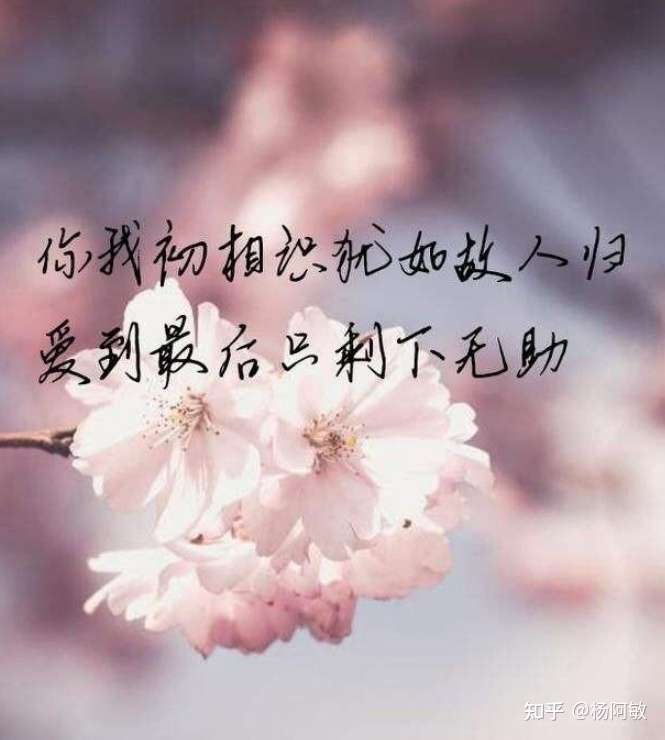 有哪些东西在你拥有时不懂得珍惜,失去了才后悔莫及的