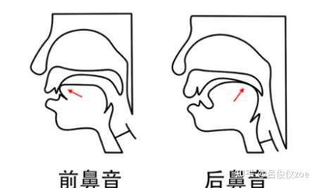 如何成功发前鼻音呢?