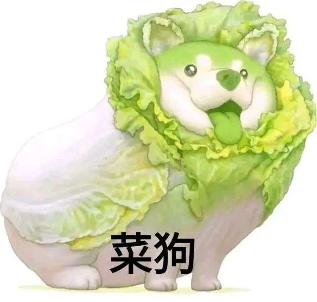 菜狗