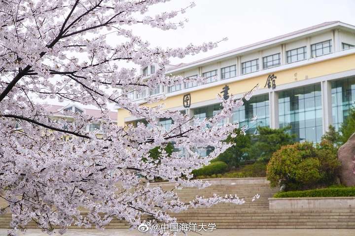 中国海洋大学的图书馆或教室环境如何?是否适合上自习