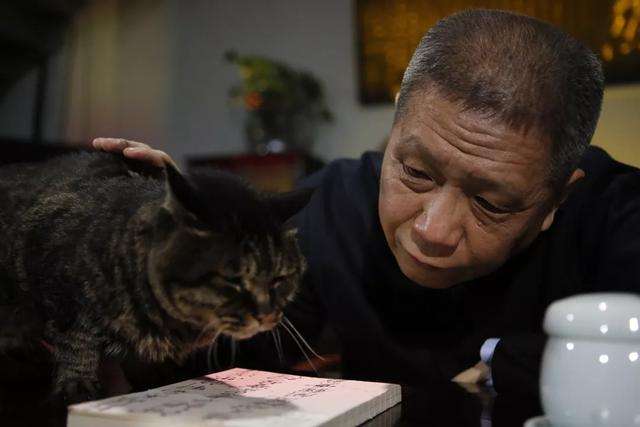 马未都与"观复猫"花肥肥(受访者供图/图)