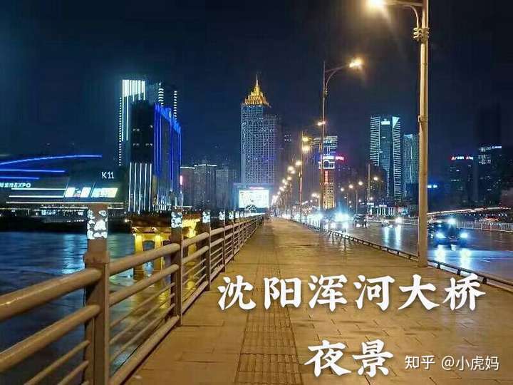 这是2021年2月22日拍摄的,沈阳青年大街路段的浑河大桥桥北建筑景观.