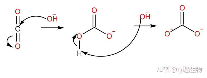 氢氧化钠和二氧化碳反应需要二氧化碳先与水反应生成碳酸吗?