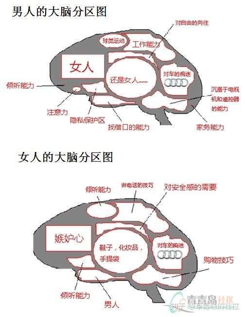 心理学研究发现,男女思维的差别,原因来自于男女大脑的差别.