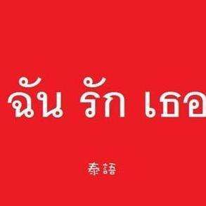 泰文属于元音附标文字,即用在辅音字母的四周标示代表元音的符号.