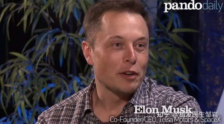 elon musk是在哪个医院做的植发?