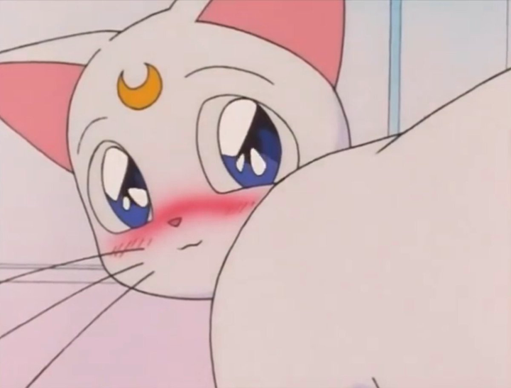 泻药 戴安娜 日本动画片《美少女战士》中的小猫.