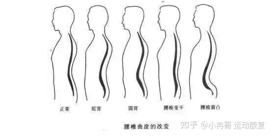 曲度 知乎