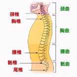 对长期坐办公室的人来说哪个品牌的腰垫腰枕比较好用可以推荐一下吗