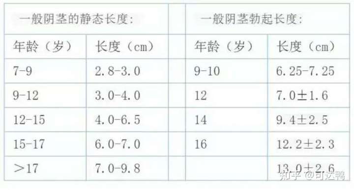 18岁之后,丁丁并不会完全停止发育,而且发育的缓慢了,大多数男生的