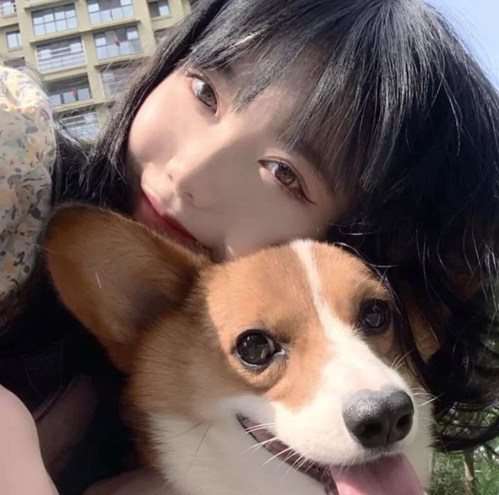 有类似这样一人一狗的情侣头像吗?