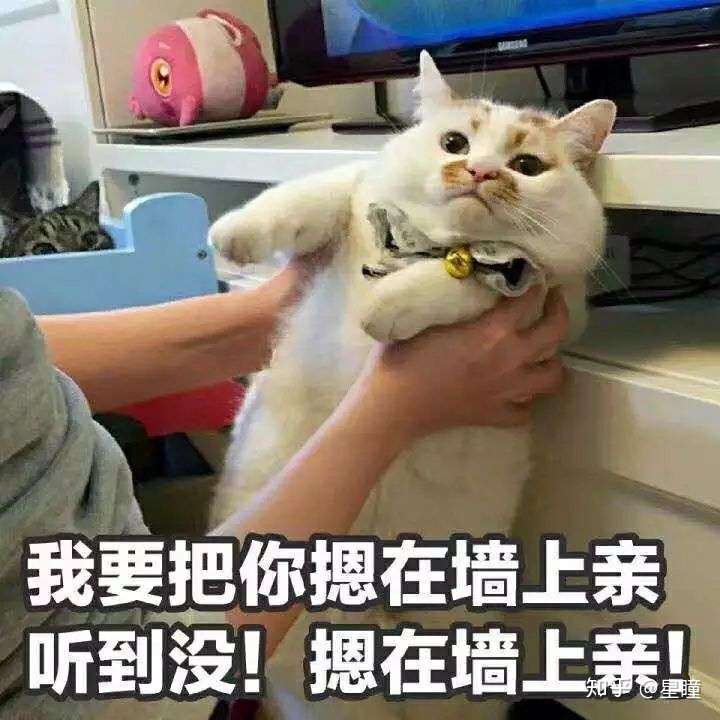 异地恋男友聊天时经常说要把我扑倒是什么意思?