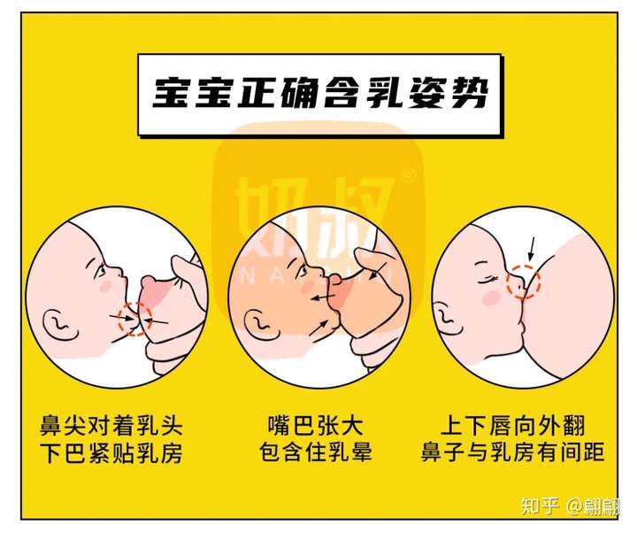 然后宝宝正确含乳姿势应该如下图