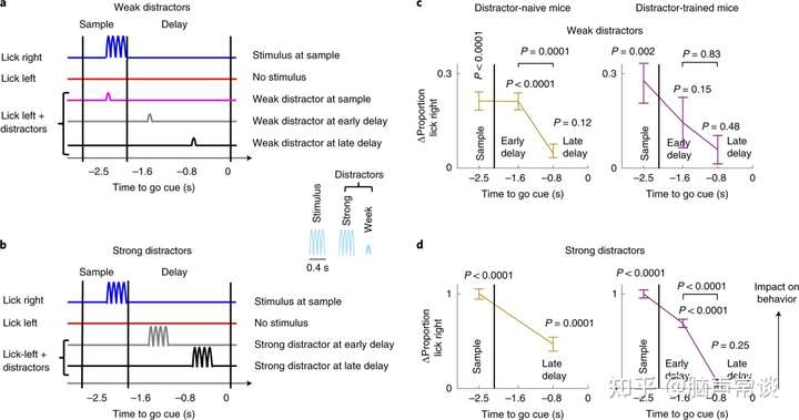 在决策中对感觉输入的门控效应 — finkelstein et al.