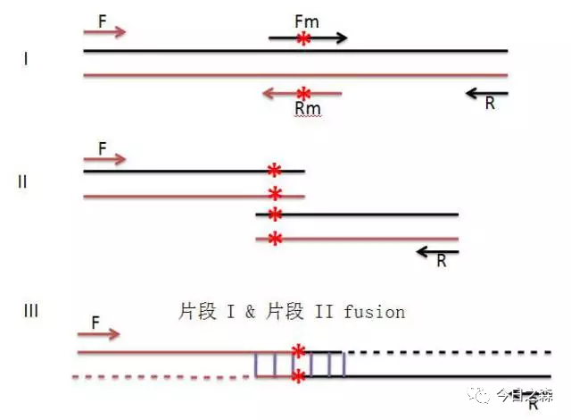 2 用重叠延伸pcr做序列缺失突变6.