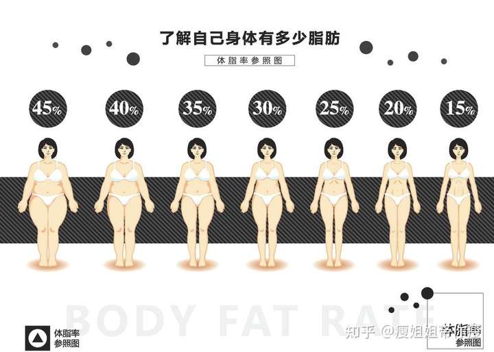 通过计算体脂率就可以判断,那么体脂率对照的身材是什么样的呢?
