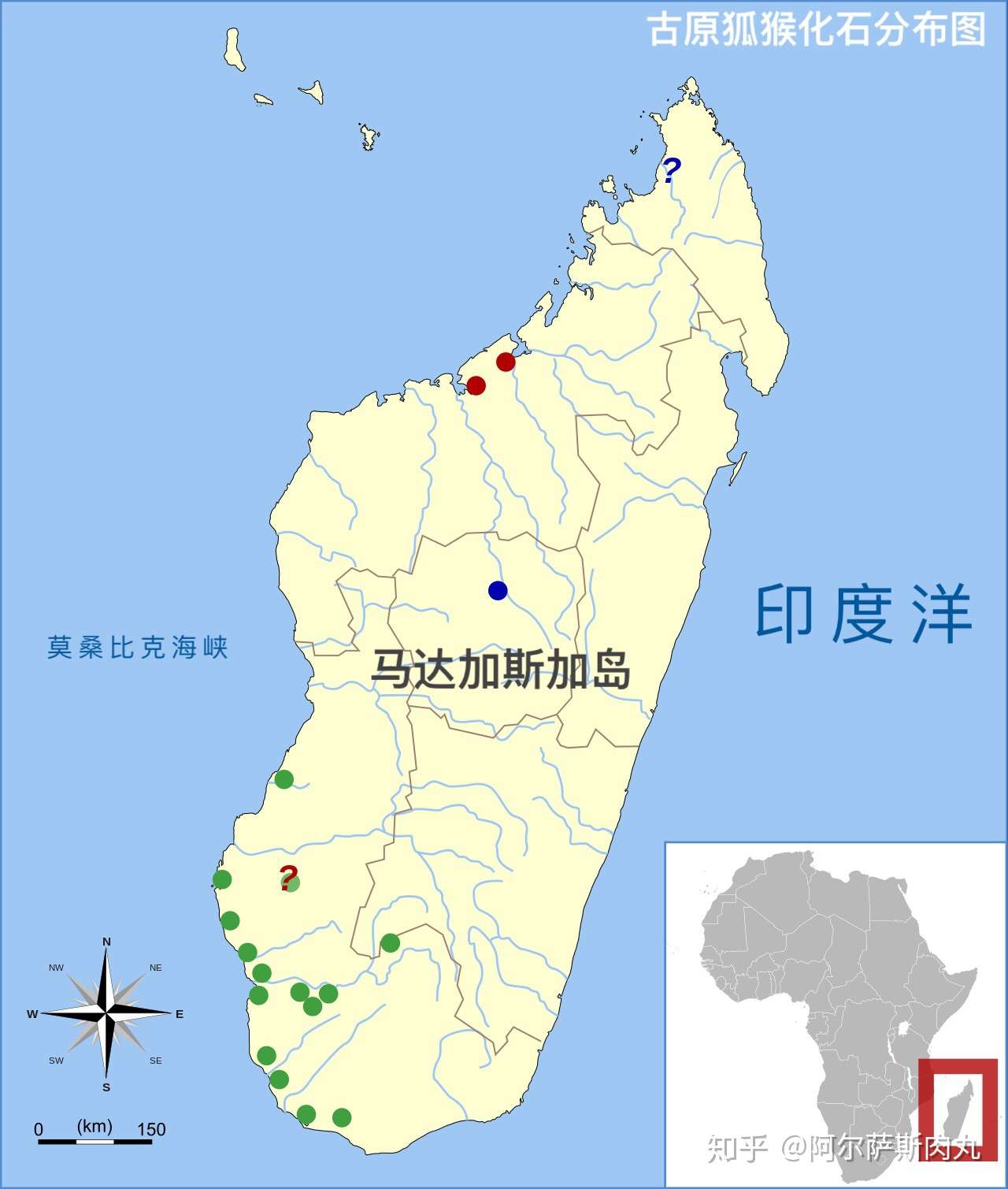 孤岛大猴古原狐猴palaeopropithecus