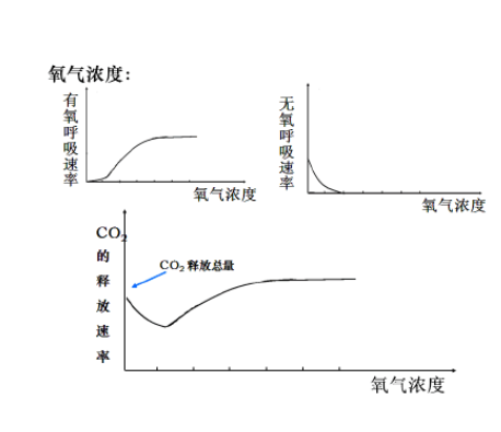 氧气浓度过高会抑制植物的呼吸作用,为什么?