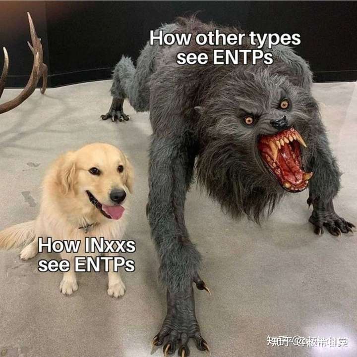 entp intp,intj enfp,infp enfj,infj entj,isfj,istj isfp,esfp