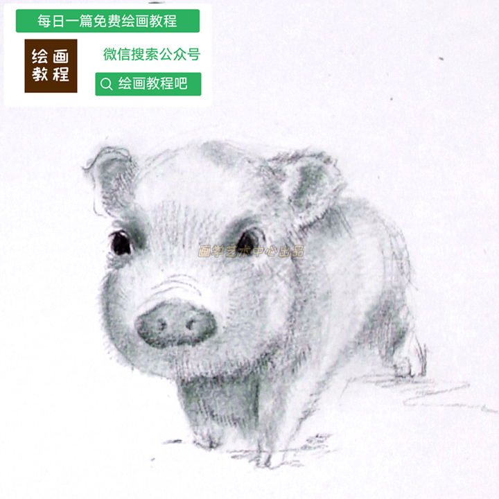 你可以给我画一只猪吗?