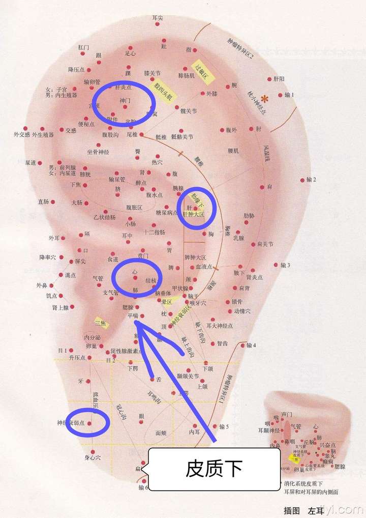 绝望跪求:说说你们的失眠症都是怎么治好的?