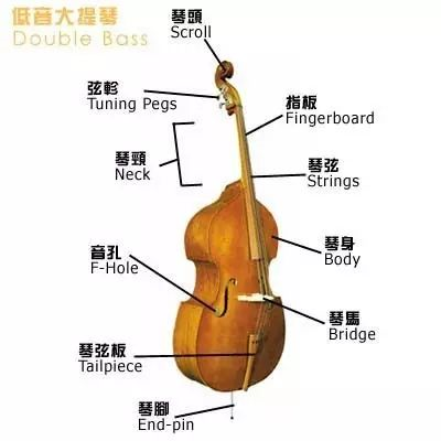 小提琴中提琴大提琴低音提琴各自都有什么音色特点学哪个比较好