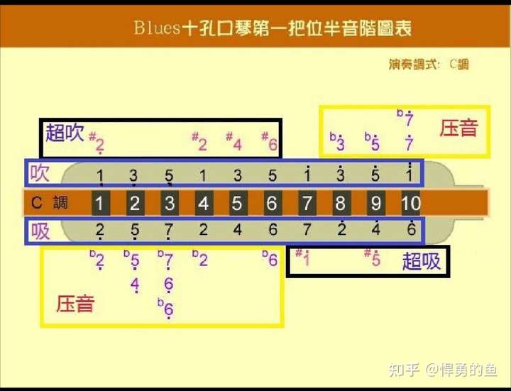 想买一个口琴,零基础初学者,看口琴有很多种,买哪种?