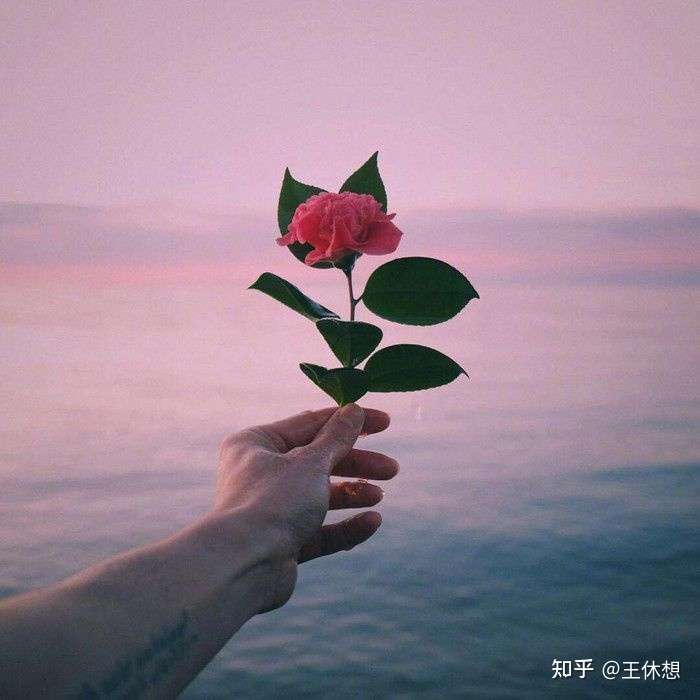 有没有好看的海边情侣头像?