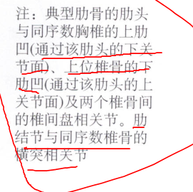 全肋凹是什么与上下肋凹有什么区别