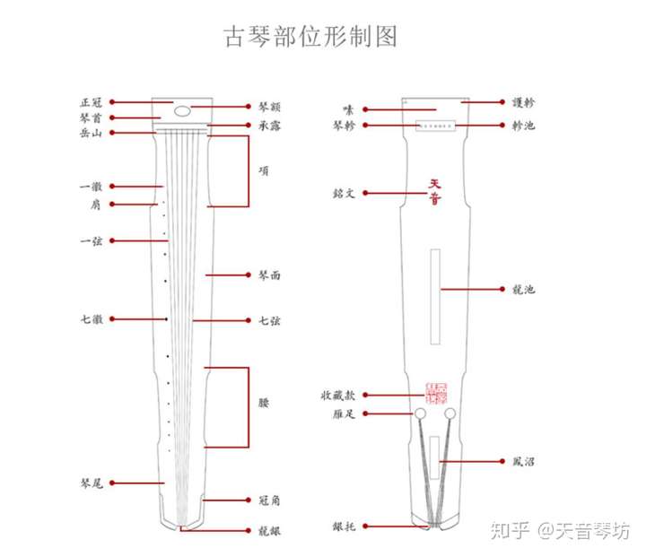 初学者古琴应该如何选择?