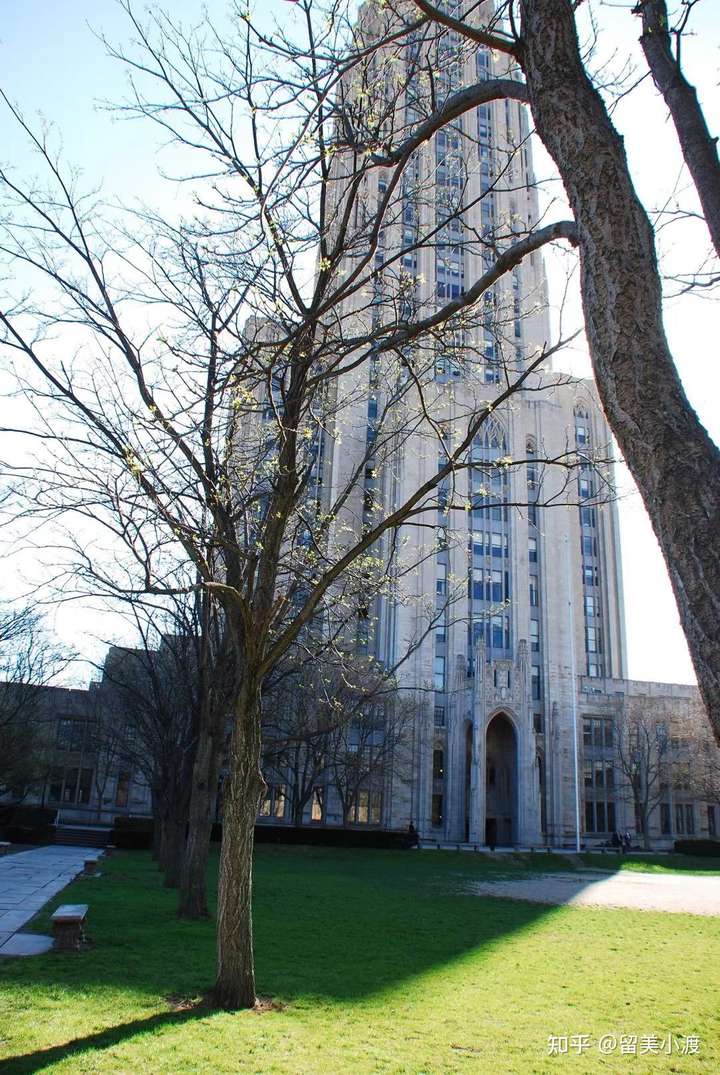 在匹兹堡大学 (university of pittsburgh) 就读是怎样一番体验?