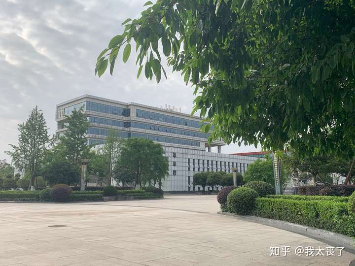 在川南幼儿师范高等专科学校就读是什么体验?