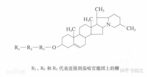 龙葵素又名茄碱,龙葵毒素,马铃薯毒素,且中毒所需剂量很低,最低2mg/kg