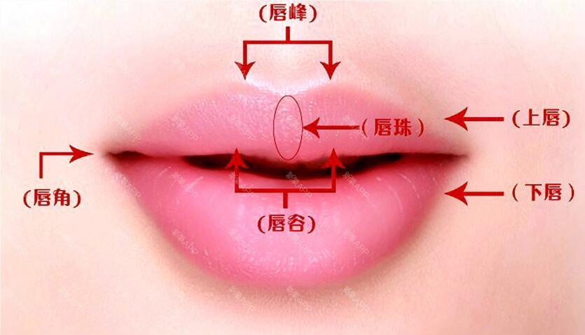 唇珠也不是固定的,每个人的情况不同,唇珠的形状也有差异的,有的人唇