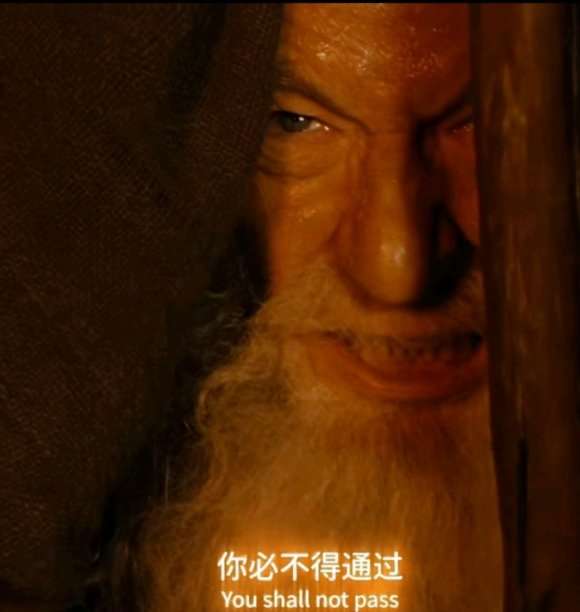 求霍比特人和指环王的表情包,甘道夫的最好!