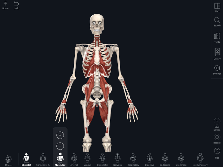 有3d解剖学模拟的服务或软件吗?