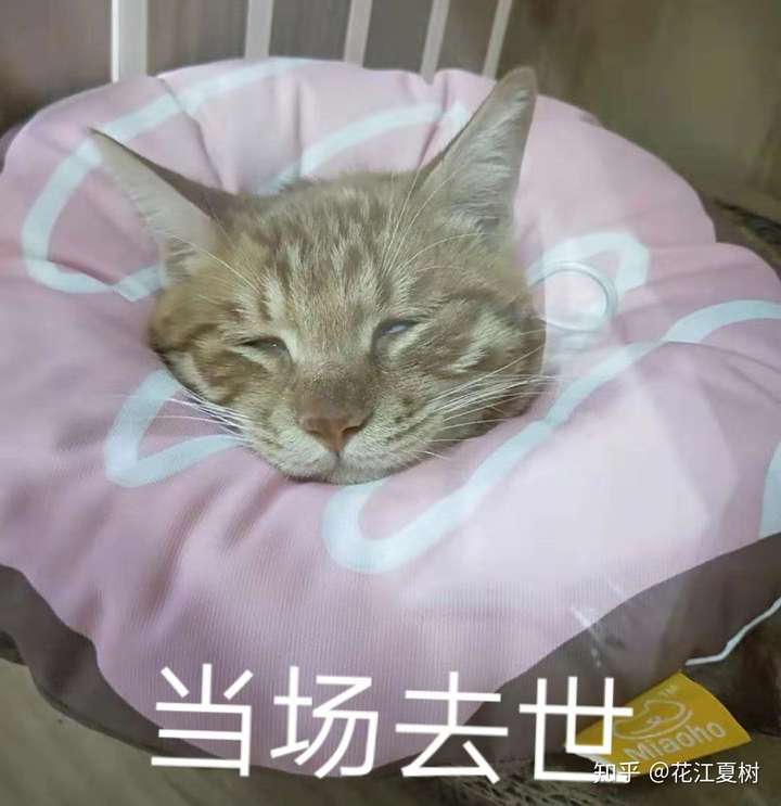 给我憋回去,不准掉眼泪!