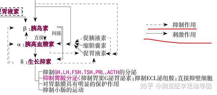 胰岛α细胞分泌胰高血糖素,通过旁分泌直接促进β细胞分泌胰岛素.