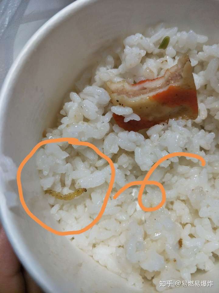 在米饭里吃出嫩白或米黄色的虫子,真的是当补充蛋白质了吧.