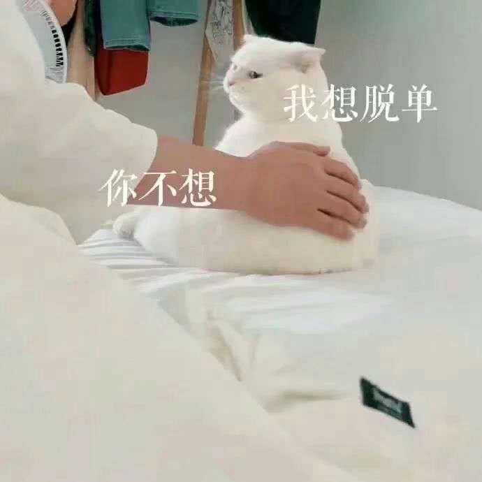 没有对象不换头像图片,不脱单不改头像文字 用手换呗,还能咋换,有条件可以和对象一起换啊,没条件就自己换啊,又不