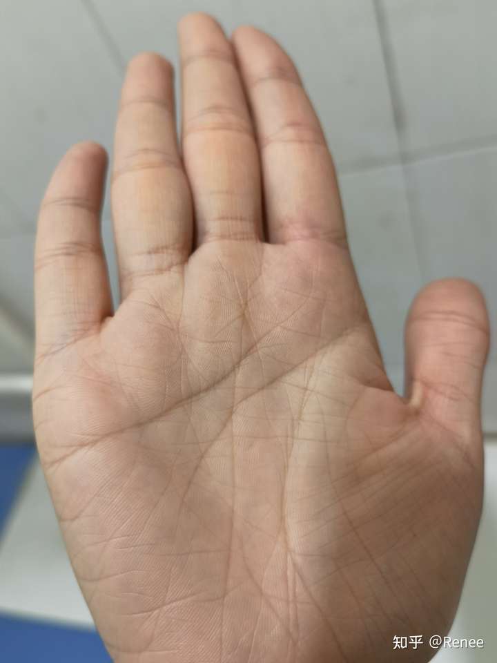 感觉没人比我的手纹更乱了
