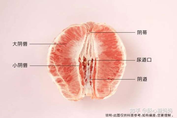 一岁以下的宝宝私处该怎么护理宝妈们是怎么做的