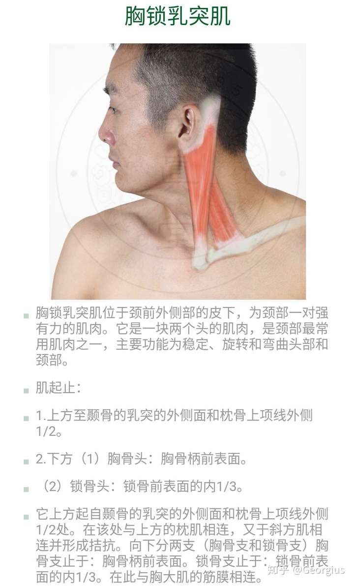 脖子有肌肉看起来很粗怎么瘦?