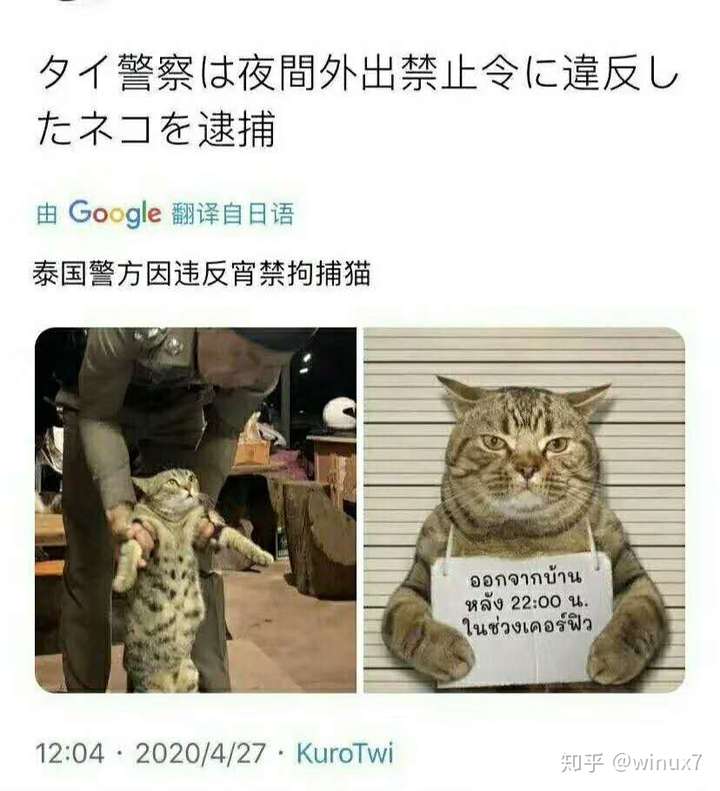 有哪些让人笑到肚子疼的搞笑图片?