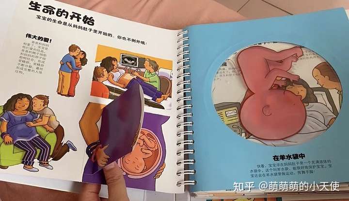 从生命的起源说起,再到坯胎孕育,分娩,出生,成长,再到身体的各个组织
